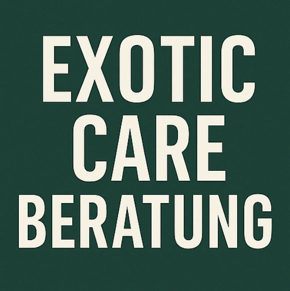 Exotic Care Beratung – Pflege & Haltung wie ein Profi