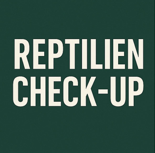 Reptilien Check-Up – Gesundheits- & Haltungsanalyse